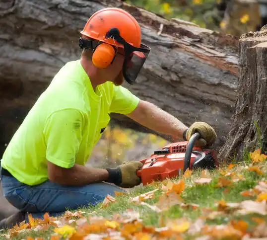 tree services Norlina